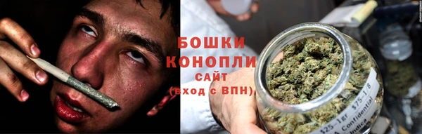 индика Балабаново