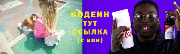 индика Балабаново