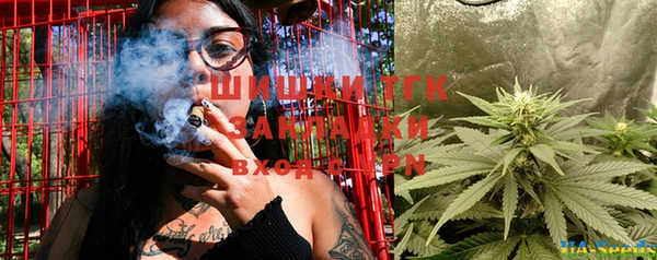 индика Балабаново