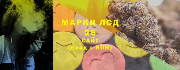 индика Балабаново