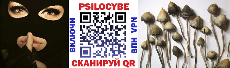 Галлюциногенные грибы Psilocybine cubensis  Энем 